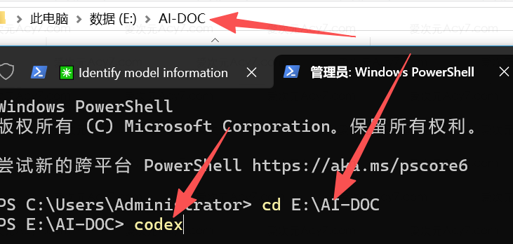 运行 Codex 命令