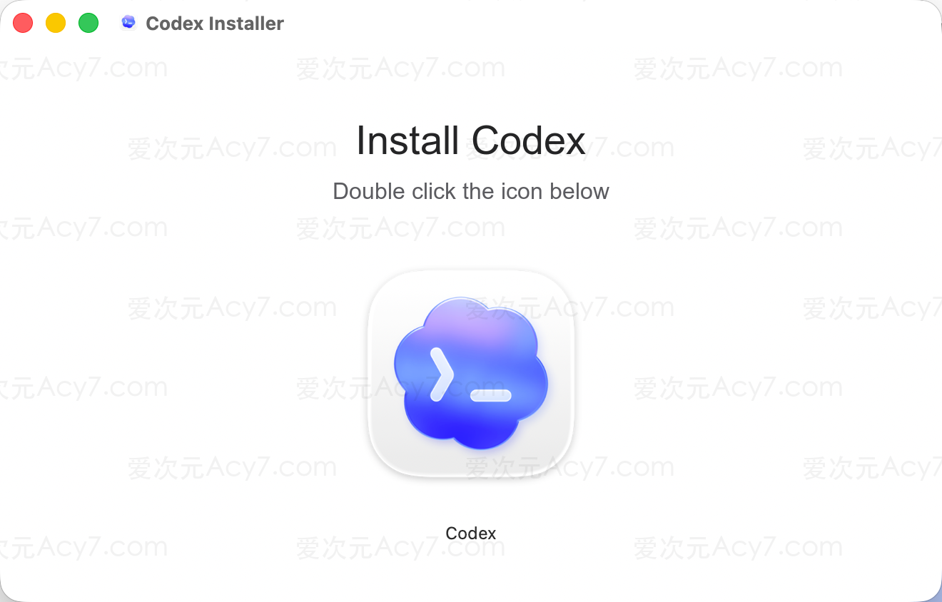 打开 Codex Installer