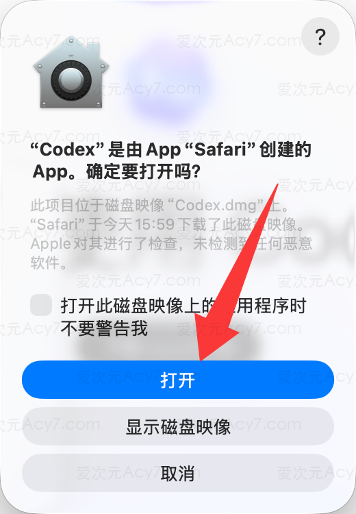 确认打开 Codex 安装包