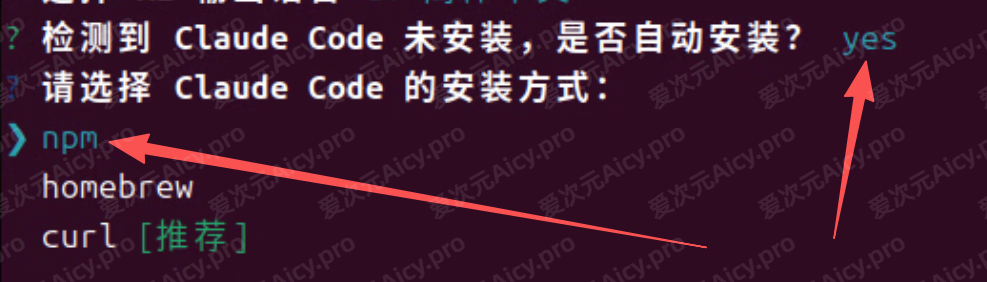 选择 npm 安装方式