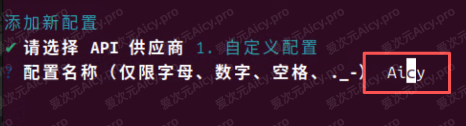 填写配置名称 Aicy