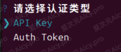 选择 Key 认证