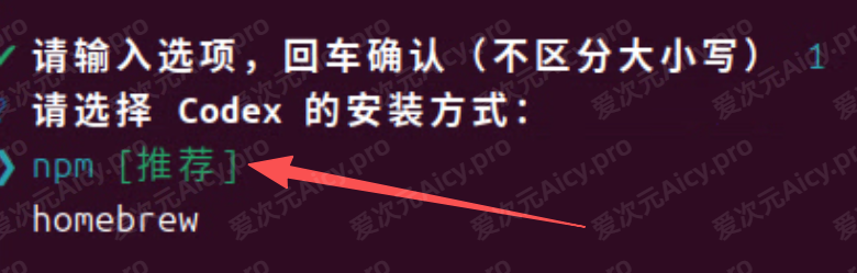 继续向导配置 1