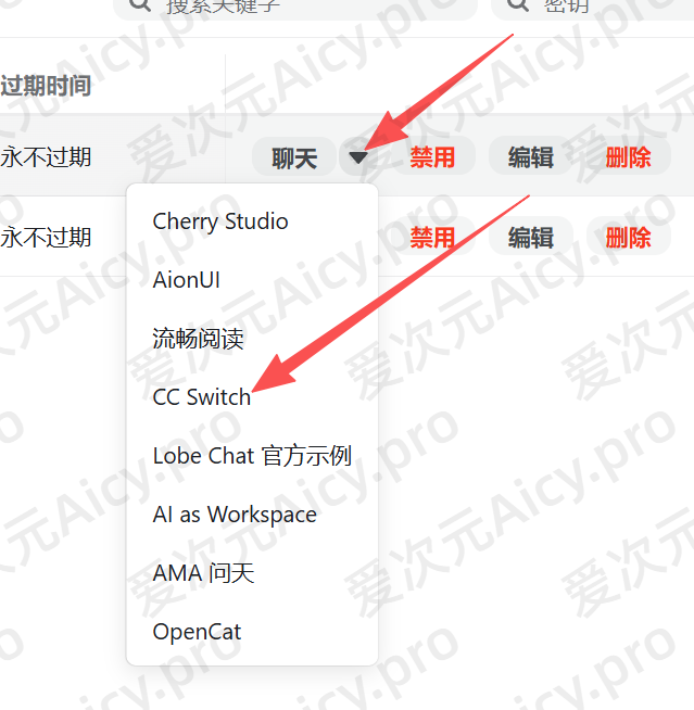 从令牌列表进入 CC Switch
