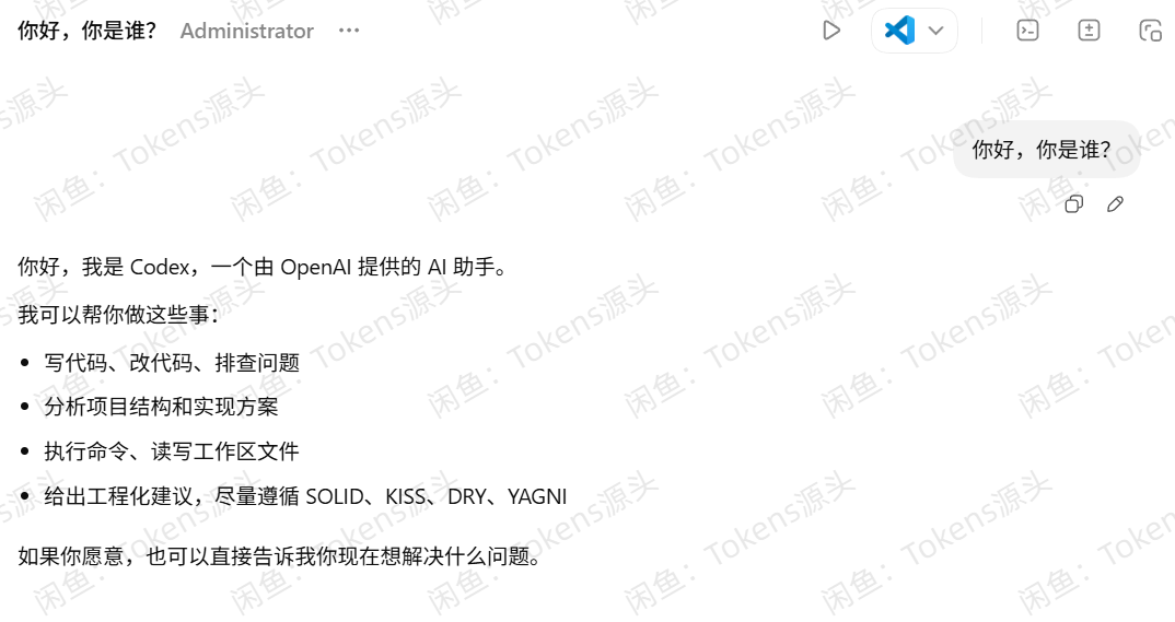 Codex APP 首次测试成功示意