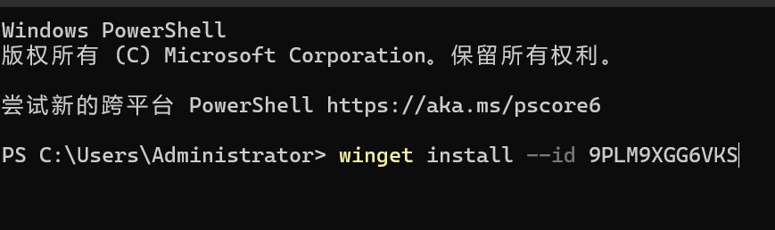 Codex APP 安装界面