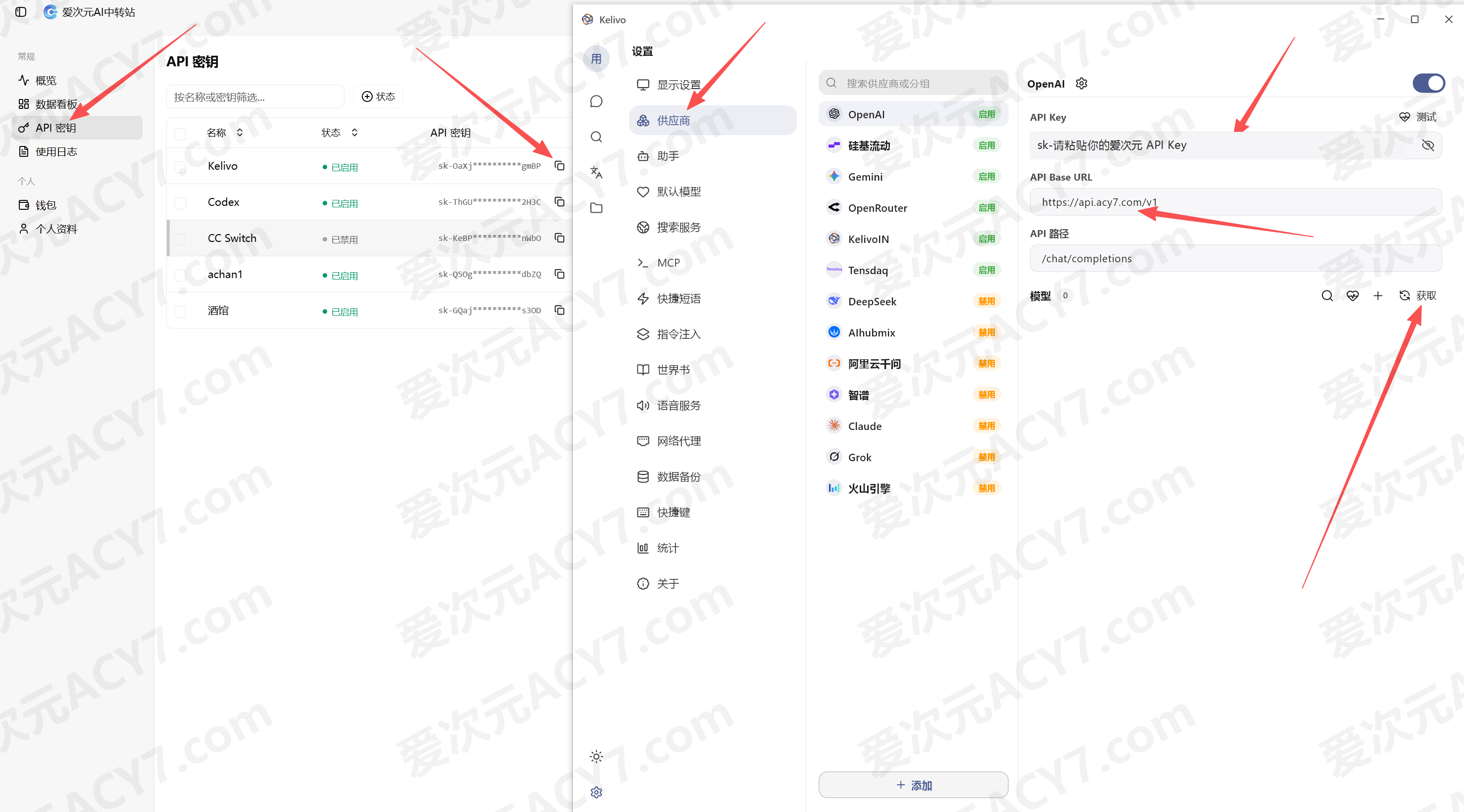 复制 API Key 并填写供应商