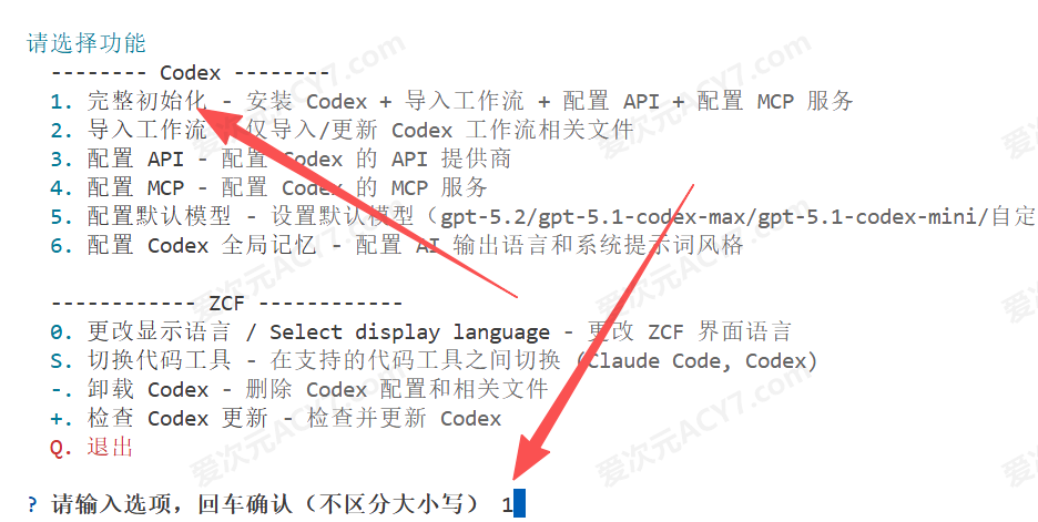 选择 Codex 完整初始化