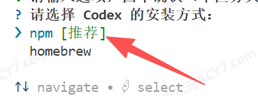 选择 npm 安装方式