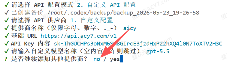 填写自定义 API 配置