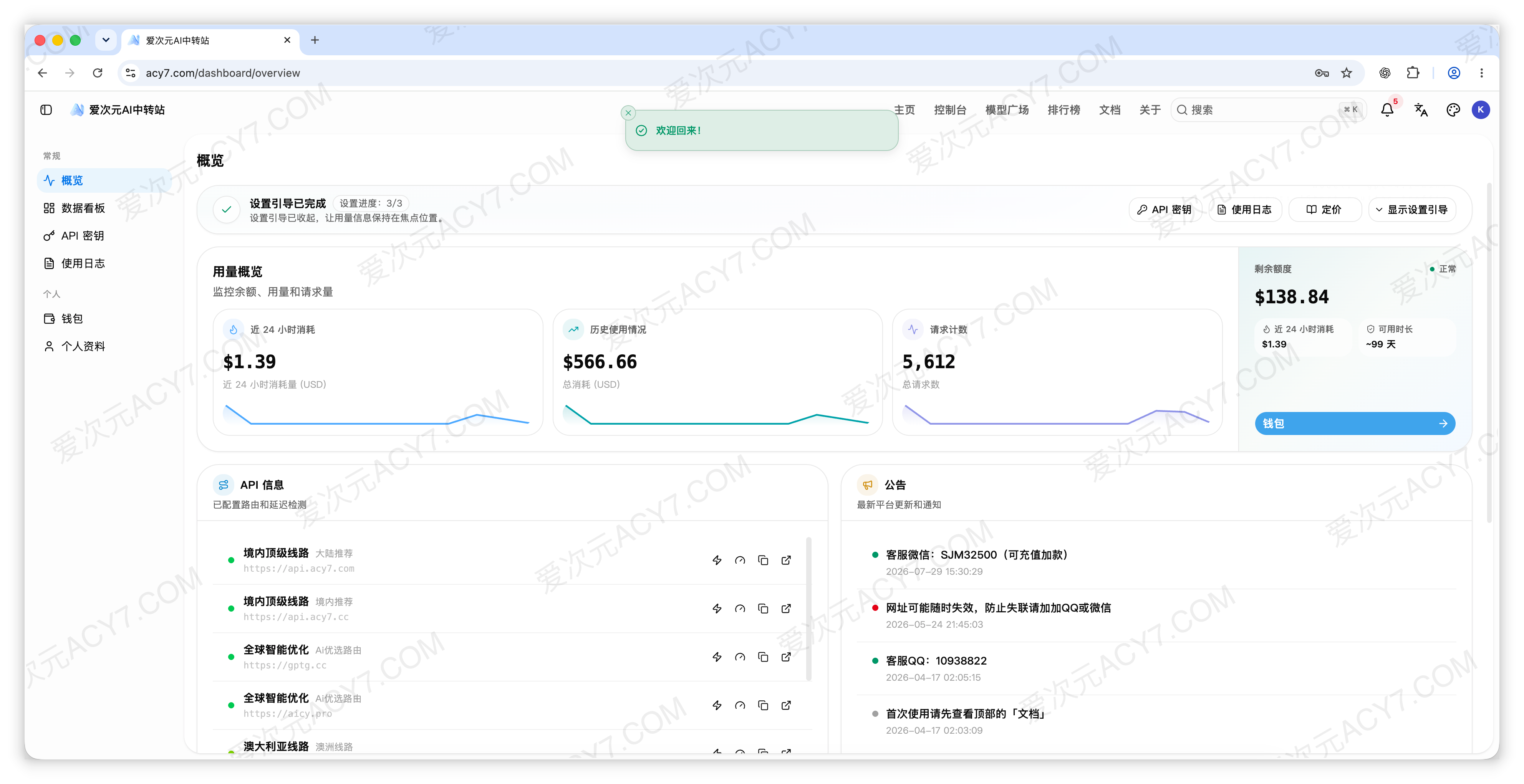 设置引导收起后的概览页，展示近期消耗、历史用量、请求次数和剩余额度